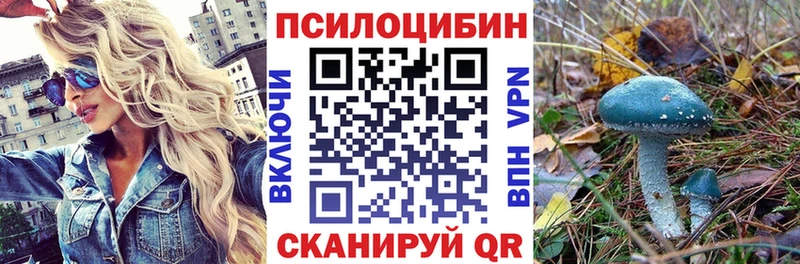 Галлюциногенные грибы MAGIC MUSHROOMS  где найти   кракен онион  Голицыно 